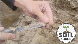 Soil School: Reading the layers of a field's soil profile