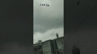 #https://youtube.com/shorts/xysOMG-rTmM?si=3oPbrH8CbFw3JG_E