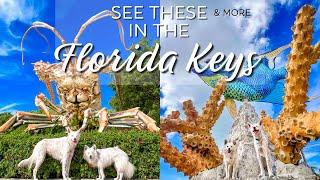 Dog Friendly Florida Keys Roadtrip