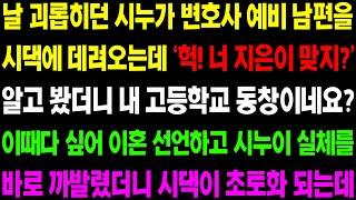 (실화사연) 시집살이 시키던 시누가 변호사 예비 남편을 시댁에 데려오는데 이때다 싶어 이혼 선언하고 시누이 실체를 까발렸더니 초대박 반응! / 사이다 사연,  감동사연, 톡톡사연