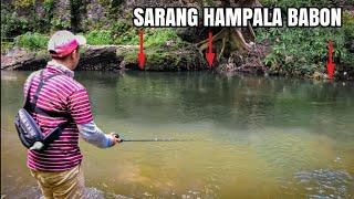 Petualangan Casting Ikan Hampala Monster ⁉️ Lure Besar‼️