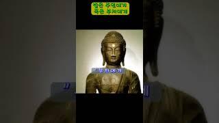 밭은 주인에게 복은 부처에게 #민담 #옛날이야기 #이야기 #해학