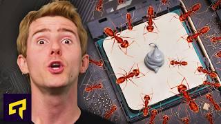 Are ANTS Eating Your Thermal Paste?