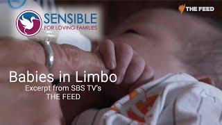 Sensible: Surrogacy Babies in Limbo excerpt