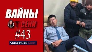Свежая подборка вайнов SekaVines / Выпуск №43