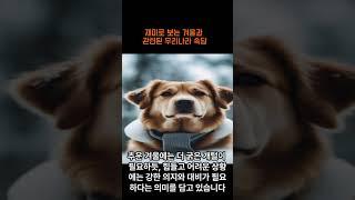 재미로 보는 겨울과 관련된 우리나라 속담