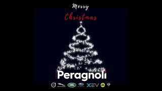 GRUPPO PERAGNOLI AUGURI  2022