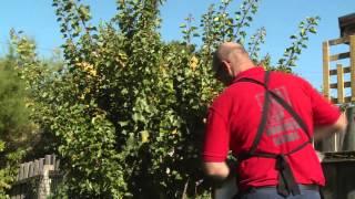 How To Protect Crops From Birds - DIY At Bunnings