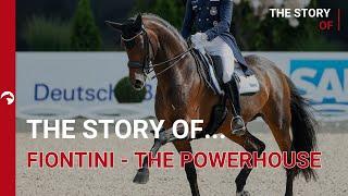 The Story of Fiontini - The Powerhouse I ClipMyHorse.TV