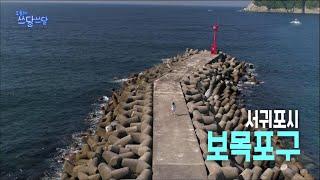 오늘부터 쓰담쓰담 [보목포구 1부] KBS제주 220719방송