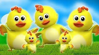 Küken Finger Familie | Deutsch Kinderlied | Kinderreime | reim auf Deutsch | Chick Finger Family