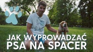 JAK WYPROWADZAĆ PSA NA SPACER