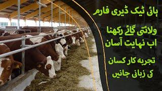 Dairy Farming in Pakistan, Holstein Friesian Cows Farm  -گرم علاقوں میں ولائتی گائے کیسے پالیں -