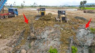 Part5!Wonderful Skill Operator Bulldozer Push Soil and Mud in Water Clear Large Lake with Dump truck