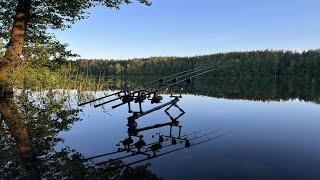 KARPIOWA PRZYGODA #77 | LYNELIS LAKE | LITWA | KARPIOWANIE Z RZUTU | @Skarpiowany