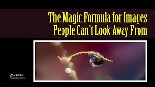  What Makes an Image Visually Appealing? | Photography Tips for Eye-Catching Photos