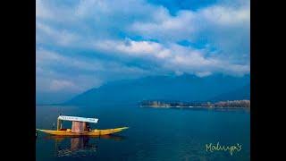 Solo travel to Srinagar - the Paradise on Earth. #srinagar #kashmir #dallake #mughalgarden