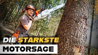 STIHL MS 881  - Die stärkste Motorsäge am Markt