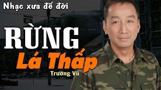 Rừng Lá Thấp - Trường Vũ (Nhạc Xưa) | Nhạc Vàng Xưa Bất Hủ Một Thời