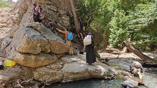 In the Heart of the Mountains: The Nomadic Life of the Afshin Family