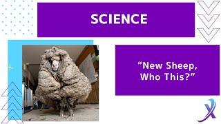 NexGen News Video Newscast:  Science “New Sheep, Who This?”