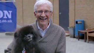 Paul O'Grady: For the Love of Dogs S010E03 Full Episode HD