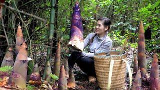 Harvesting Bamboo Shoots & Go to Market Sell - Bamboo Shoots Collecting, Cooking, Daily Life, Farm