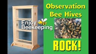 Observation Hives Rock 01 02 2022