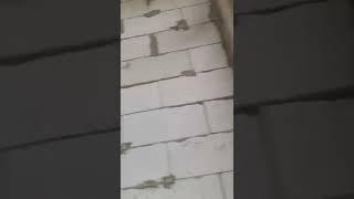 Недвижимость в Сочи для инвестиций и сдачи в аренду! Гостиничный бизнес. Апартаменты  Атриум Авеню