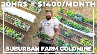 Teacher Makes $1,400/Month Farming Before Breakfast (No Farmer's Market Needed)