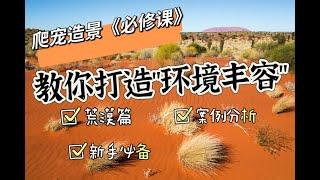 爬蟲造景必修課 | 教你打造環境豐榮 | 荒漠篇