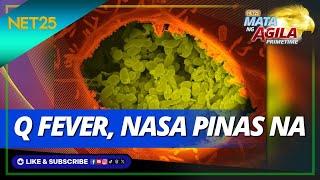 Q fever sa mga kambing, nakapasok na sa Pilipinas | Mata Ng Agila Primetime