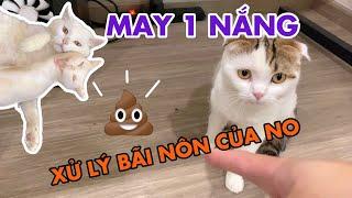 No nôn khắp nhà khiến May phải đi dọn hộ và cái kết | maly.gaugau