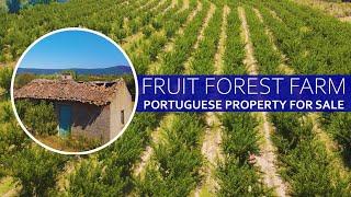 FRUIT FOREST FARM - PROPERTY FOR SALE IN CENTRAL PORTUGAL, ORCHARDS, PONDS AND MORE