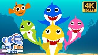 Baby Shark Learns Colors | Little Fish Tales Nursery Rhymes & Kids Songs