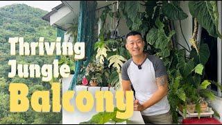 Thriving Plants Grown From Cuttings! Charming Penang Balcony Garden By a Passionate Grower