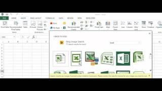 Excel -  How to add images from the web to Excel workbook