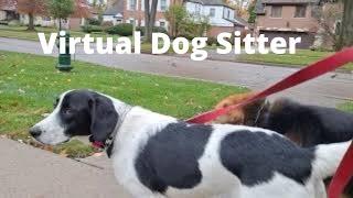 Virtual Dog Sitter