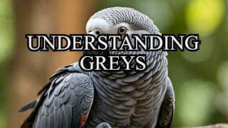 The Hidden Language of African Grey Parrots