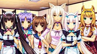 Cute Cat Girls Work As Cafe Maids For Their Master