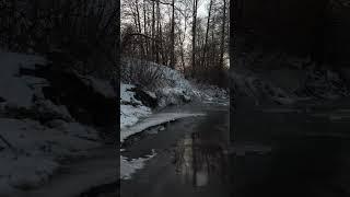 Moscow. Седая ночь кавер #shorts