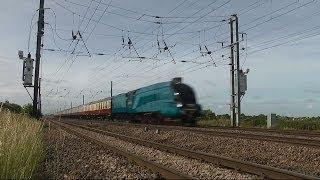 Bittern at 90mph - High Speed Steam Train