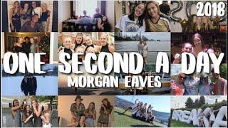 2018 A Second a Day// Morgan Eaves