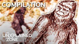 Mysteries of BIGFOOT Revealed Compilation | MonsterQuest | The UnXplained Zone