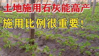 土地施用石灰能高产，一亩地施用多少斤最好？你知道吗？【付老师种植技术团队官方频道】