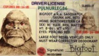 Mark Stise chats about Bigfoot