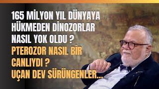 165 Milyon Yıl Dünyaya Hükmeden Dinozorlar Nasıl Yok Oldu ? Pterozor Nasıl Bir Canlıydı ?