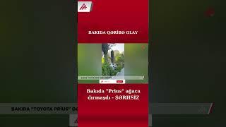 Bakıda "Prius" ağaca dırmaşdı - ŞƏRHSİZ - APA TV