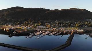 Hoonah, Alaska Grazing Brown Bear Family at Sunset and Whales Feeding off the Dock