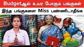 Budget 2024 | Major stocks to be impacted in Budget 2024  | Nirmala Sitharaman | Oneindia